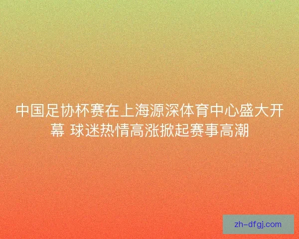 中国足协杯赛在上海源深体育中心盛大开幕 球迷热情高涨掀起赛事高潮